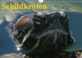Schildkröten (Wandkalender immerwährend DIN A4 quer) Schildkröten (Wandkalender immerwährend DIN A4 quer)