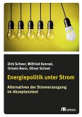 Energiepolitik unter Strom (eBook, PDF)