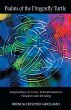 Psalms of the Dragonfly Turtle - Bild 1