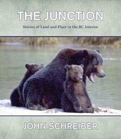 The Junction - Schreiber, John