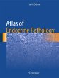 Atlas of Endocrine Pathology - Bild 1