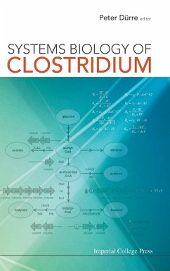 SYSTEMS BIOLOGY OF CLOSTRIDIUM - Peter Durre