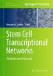 Stem Cell Transcriptional Networks - Bild 1
