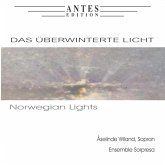 Das Überwinterte Licht-Norwegian Lights