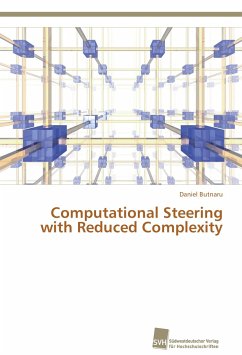 Computational Steering with Reduced Complexity - Butnaru, Daniel