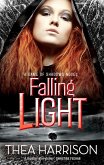 Falling Light (eBook, ePUB)
