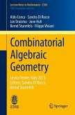 Combinatorial Algebraic Geometry