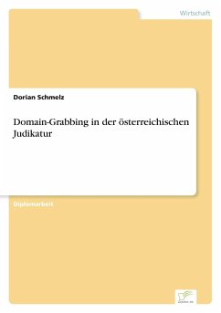 Domain-Grabbing in der österreichischen Judikatur - Schmelz, Dorian
