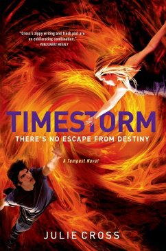 Timestorm (eBook, ePUB) - Cross, Julie