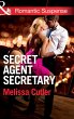 Secret Agent Secretary (eBook, ePUB) - Bild 1