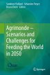 Agrimonde - Scenarios and Challenges... - Bild 1