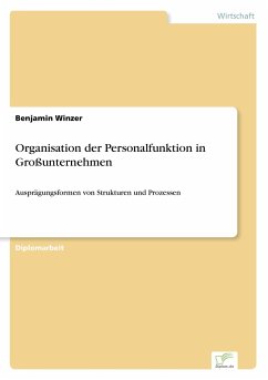 Organisation der Personalfunktion in Großunternehmen - Winzer, Benjamin