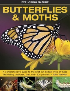 Exploring Nature: Butterflies & Moths - Farndon John