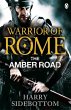 Warrior of Rome VI: The Amber Road - Bild 1