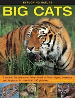 Exploring Nature: Big Cats - Klevansky, Rhonda