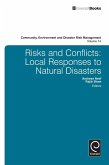 Risk and Conflicts (eBook, ePUB)