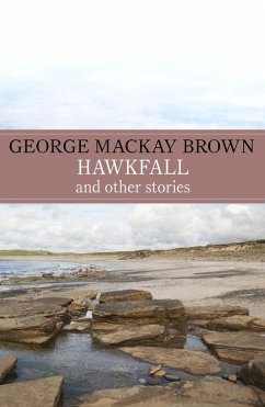 Cover Hawkfall (eBook, ePUB)