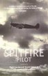 Spitfire Pilot (eBook, ePUB) - Bild 1