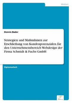 Strategien und Maßnahmen zur Erschließung von Kundenpotenzialen für den Unternehmensbereich Webdesign der Firma Schmidt & Fuchs GmbH