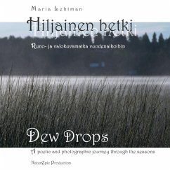 Hiljainen Hetki (eBook, ePUB) Cover Hiljainen Hetki (eBook, ePUB)