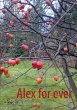 Alex for ever (eBook, ePUB) - Bild 1