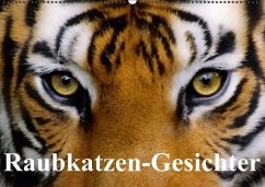 Raubkatzen-Gesichter (Wandkalender immerwährend DIN A2 quer) - Stanzer, Elisabeth