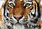 Tiger (Wandkalender immerwährend DIN A3 quer)