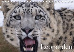 Leoparden (Tischkalender immerwährend DIN A5 quer) - Stanzer, Elisabeth