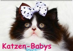 Cover Katzen-Babys (Wandkalender immerwährend DIN A2 quer)