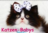 Katzen-Babys (Wandkalender immerwährend DIN A3 quer) Katzen-Babys (Wandkalender immerwährend DIN A3 quer)