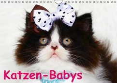 Katzen-Babys (Wandkalender immerwährend DIN A4 quer)