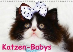 Cover Katzen-Babys (Wandkalender immerwährend DIN A4 quer)