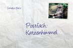 Postfach Katzenhimmel (eBook, ePUB)