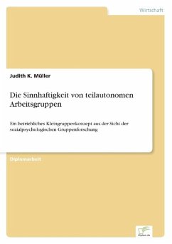 Die Sinnhaftigkeit von teilautonomen Arbeitsgruppen - Müller, Judith K.