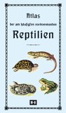 Atlas der am häufigsten vorkommenden Reptilien