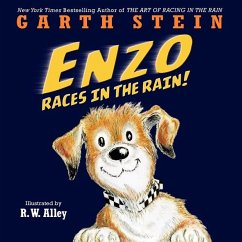 Enzo Races in the Rain! - Stein, Garth