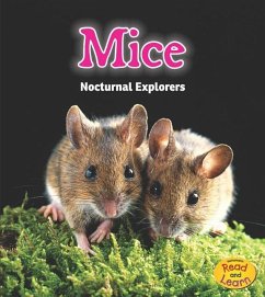 Mice: Nocturnal Explorers - Rissman, Rebecca