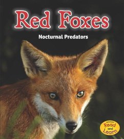 Red Foxes: Nocturnal Predators - Rissman, Rebecca