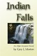 Indian Falls - an alien invasion novel - Bild 1