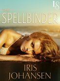 The Spellbinder (eBook, ePUB)