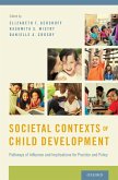 Societal Contexts of Child Development (eBook, PDF)