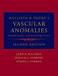 Mulliken and Young's Vascular Anomalies... - Bild 1