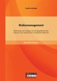 Risikomanagement: Bedeutung und Umgang mit erfolgsgefährdenden Faktoren zum Zeitpunkt der Projektziele-Definition