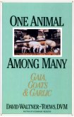 One Animal Among Many (eBook, ePUB)