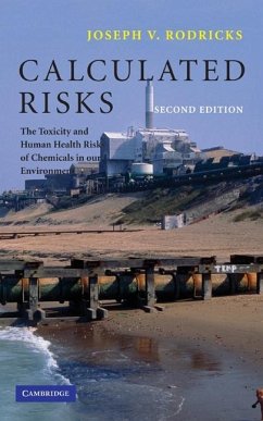 Cover Calculated Risks (eBook, ePUB)