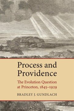 Cover Process and Providence (eBook, ePUB)
