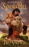 A Tale of Two Vikings (eBook, ePUB)