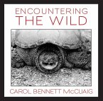 Encountering the Wild (eBook, ePUB)