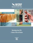 Remaining Asset Life (eBook, PDF)