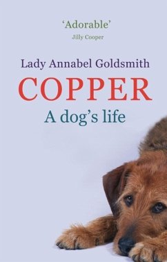 Copper: A Dog's Life (eBook, ePUB) - Goldsmith, Annabel